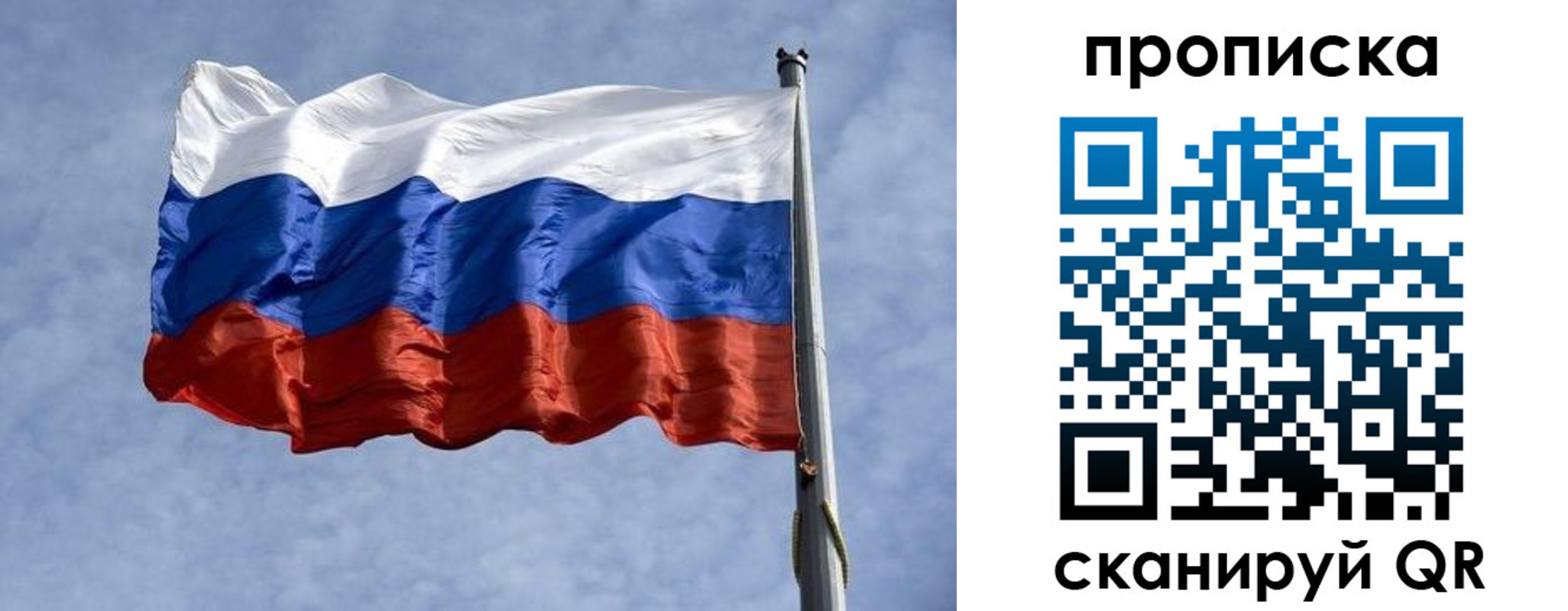 временная регистрация надежно в Мурманской области